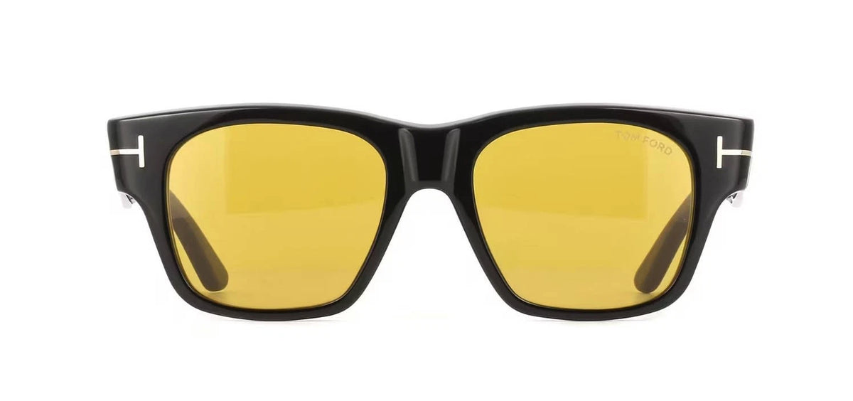 Tom Ford CAINE-02 FT1280 Shiny Black/Brown (01E) Sunglasses